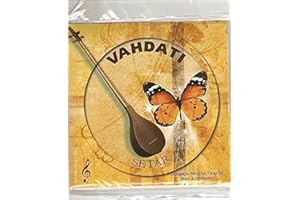 SALA MÜZIK ALETLERI Persische Setar-Saiten.