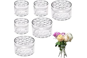 DERJDISF Floral Frog - 6 Soportes para Tallos en Espiral Ikebana, Espirale Ikebana para DIY Artesanía Floral, Soporte de Plástico Transparente (2 Tamaños)