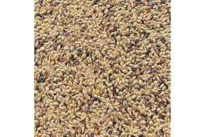 Il Contadino - Antichi Becchimi | MISCUGLIO per CANARINI EXTRA | Formula ricca di semi Selezionati adatta per tutto l'anno, No OGM, 100% Vegetale, Assenza di scarti. Qualità Superiore (5 Kg)