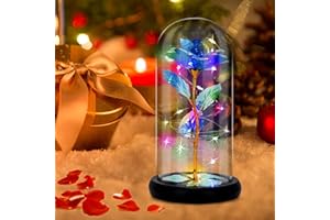 Gohytal Fiore eterno in vetro, rose eterne, regalo per la festa della mamma, la bella e la bestia, kit di rose in vetro con luce LED in cupola, fiori artificiali, regalo per San Valentino