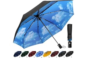 TechRise Umbrella, Windproof Umbrella with Automatic Opening & Closing, Portable & Foldable Pocket Umbrella for Men, Women, Children