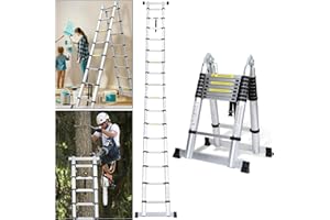 Cecaylie Escalera telescópica de Aluminio Extensible (5 m, 2,5 m, Plegable, Plegable, Plegable, 150 kg, 150 kg), Color Plateado