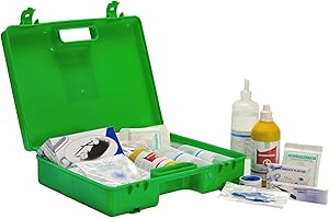 SADISRLS Cassetta Medica Pronto Soccorso Conforme DM388/DL81 ALLEGATO 1 per Aziende con più di 3 dipendenti e Privati - Con Prodotti Professionali - Kit Completo - Made in Italy
