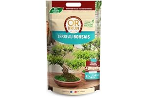 OR BRUN Terreau bonsai 4l
