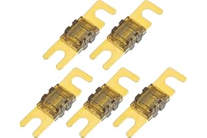 A ABSOPRO Fusibili per Mini ANL 120A / Fusibile CD per Audio per Auto / 5 Pezzi Tono Oro Marrone