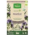 Graines De Phacélie Bio ® - Graines à Semer (10 M²