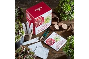 THOMPSON & MORGAN Succulent Seed Grow Kit Gardeners Gift Grow Your Own Succulent Plants, Great Gardening Present, Sempervivum Mixed Seeds with Growing Equipment by Thompson and Morgan