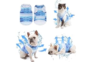 Lyneun Gilet de Refroidissement pour Chien, Gilet de Refroidissement Respirant pour Animal de Compagnie, Manteau de Refroidissement Confortable par évaporation pour Chien (Bleu, M)