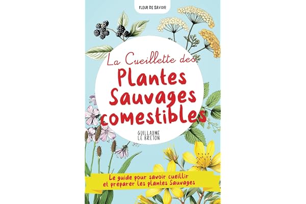 La Cueillette des Plantes Sauvages comestibles: Un guide pour savoir cueillir et préparer les plantes - dans la cuisine, pour se soigner en phytothérapie et comme produits d'entretien naturels