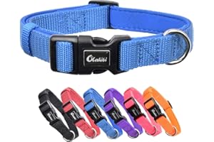 Olahibi Soft and Comfortable Neoprene Padded Nylon Basic Dog Collar Solid Color pattern for Small Dogs.(S, Blue Collar)