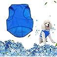Pet Cooling Vest, Dog Cooling Jacket Dog Ice-cooling Harness Coats, Cool Jackets for Dogs Pet Cooler Vest with Magic Tape, Breathable Mesh Ice Vest for Dog Outdoor Hiking Training (M)