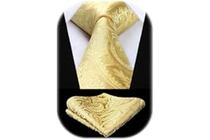 HISDERN Cravate Homme Paisley Cravates en Soie pour Hommes Mariage Cravatte et Pochette Set