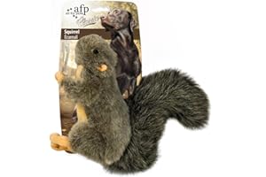 ALL FOR PAWS Pet Squirrel Plush Dog Toys With Squeaker, Small Size (Squirrel)