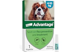 Advantage Spot On Flea Treatment For Medium Dogs 4 - 10 kg (1 pipette, 100mg), Kills Fleas Within 24 Hours, Prevents Further Infestation For Up To Four Weeks