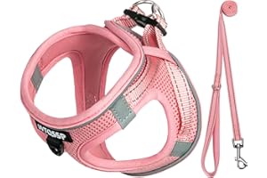 UVTQSSP Hundegeschirr Kleine Hunde mit Leine Gepolstert, Welpengeschirr, Dog Harness Hunde Geschirr Klein, Hellrosa L