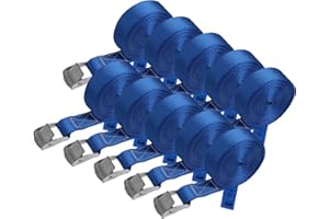 BB SPORT Correa de Amarre cinturón de Amarre con Hebilla - Azul - 1m 2,5m 4m 6m - Diferentes cantidades Resistente a 250 kg DIN EN 12195-2, 10 Piezas 2.5 cm x 6 m