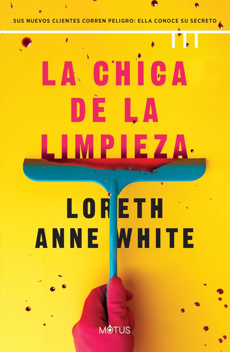 Avantages, Atouts et Limites du La chica de la limpieza