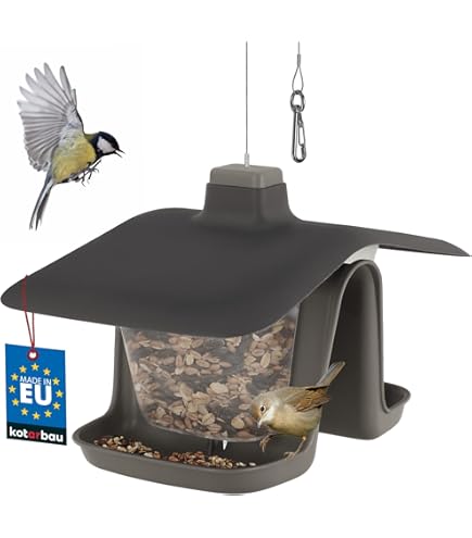 NIUXX Grande Mangeoire à Oiseaux Fenêtre Avec Bac à Graine Drainage Et Évier à Boire, Pendaison