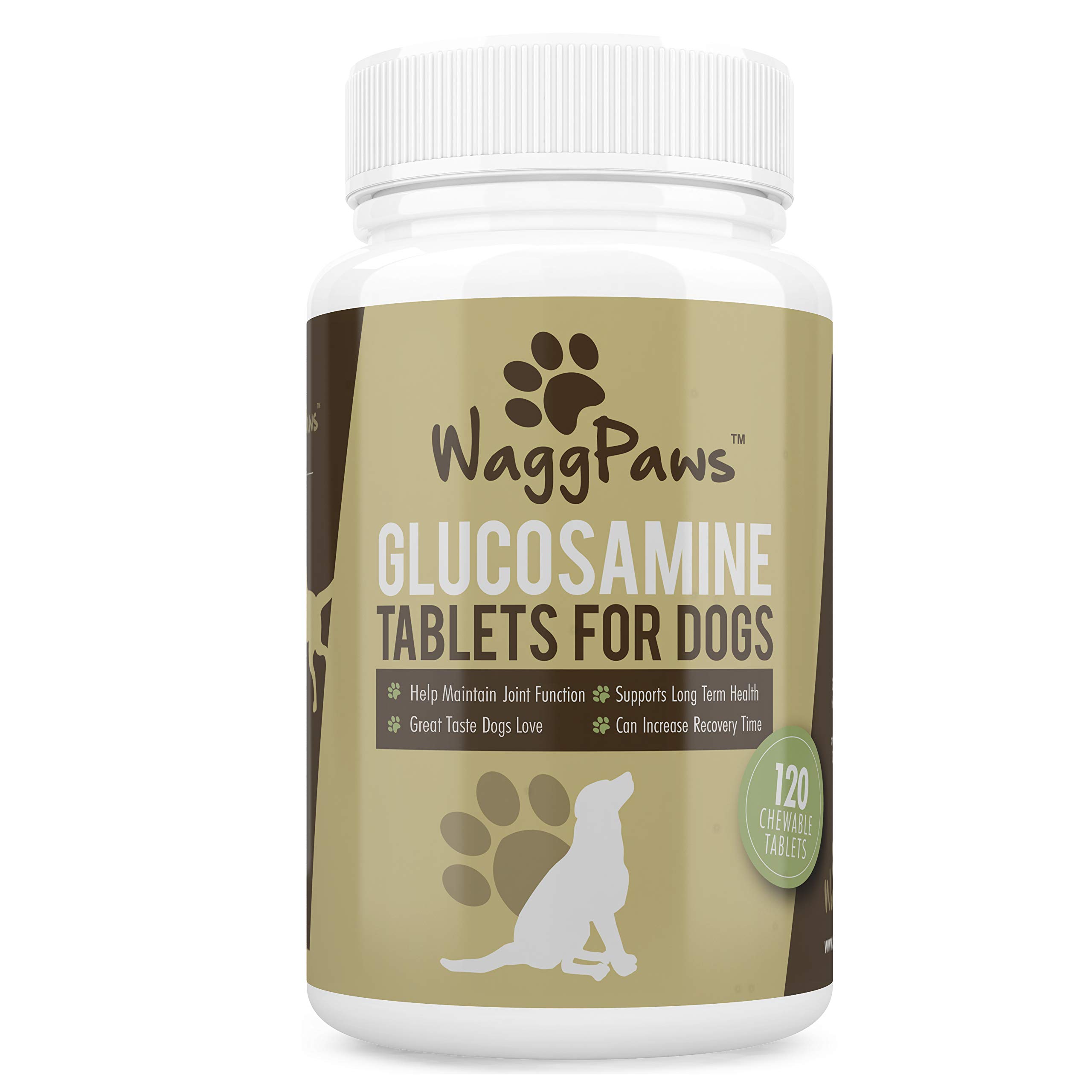 dog vitamins for older dogs