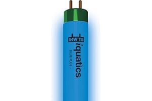 iQuatics Juwel Compatible Aquarium Fluorescent Light Bulb T5 (Single), Blue Plus, 54w 1047mm 42"