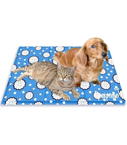 Kühlmatte Für Hunde - Selbstkühlende Decke Für Haustiere Bei Hitze