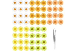60Pcs Dried Daisy Pressed Flowers - YoothBro Real Nature Flowers Set for Resin DIY Jewelry Candle Soap Vase Making Nail Card Scrapbook Art Craft Floral Decors