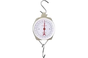 BERGER & SCHRÖTER Berger + Schröter 50197 Peson 200 kg Gris