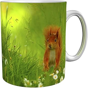 Trendaffe Kaffeebecher Mit Eichhörnchen Motiv Und Spruch