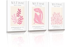 HesenDot 30x40cm Pink Framed Wall Art,Matisse Canvas Prints Wall Decor,Abstract Matisse Exhibition Posters,Minimalist Home Decoration for Bathroom Bedroom Living Room,Set of 3