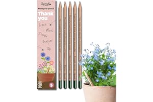 Sprout World Matite | Thank You Edition | Matite piantabili con semi di fiori | Regalo sostenibile per dire grazie | Confezione da 5 | Legno ecologico