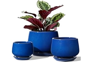 ‎LE TAUCI LE TAUCI Ceramicznych Doniczki, 10+13+16 cm Donice, Zestaw 3 Ceramicznych Donic z Otworem Odpływowym i Podstawką, Doniczka Wewnętrzna z Wkładką Siatkową na Otwór Odpływowy, Niebieski