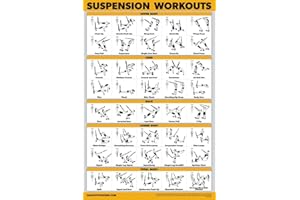 Palace Learning QUICKFIT Suspension Workout Exercise Poster - (Laminated, 18in x 24in), Hallway