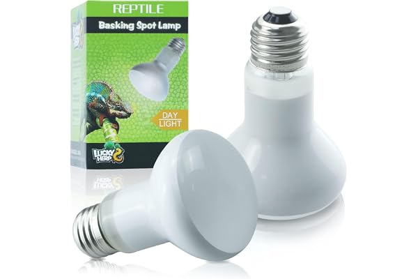 LUCKY HERP Lot de 2 lampes chauffantes pour terrarium 50 W - Pour reptiles - Pour tortues, rames barbus, lézards…