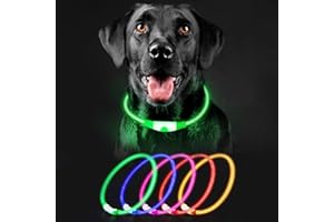 AUBBY Light Up Dog Collar Rechargeable, LED Dog Collar Lights Waterproof with 3 Flash Glowing Modes for Outdoor Night Walking Safe, Cut to Adjust for Small Medium Large Breed, 70cm, Green