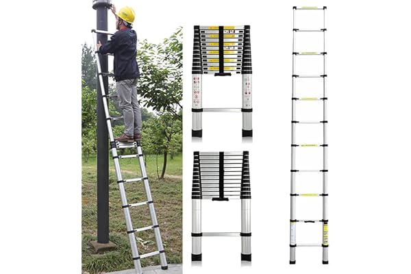 Échelle télescopique Extensible de 3,2 m - Échelle télescopique en Acier Inoxydable -Échelle Extensible Robuste - Échelle Multifonction avec 11 barreaux - Charge maximale : 150 kg - EN131