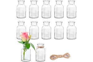 DATEFUN 12 Stück Mini Glasvasen, 125ml kleine Väschen mit Juteschnur, Blumenvasen Tischvasen Glasvasen Dekoflaschen Glasflaschen, Glasfläschchen für Tischdeko Mittelstücke, Hochzeitsdekorationen