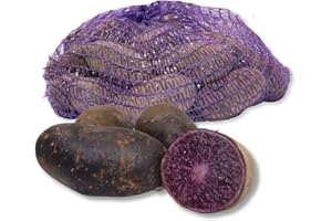 ‎FRUCHTVERSAND24 FRUCHTVERSAND24® Speisekartoffeln Violetta, 2,5kg, festkochend, blaue glatte Schale mit tiefblauem Fleisch, Handelsklasse EXTRA, Lüneburger Heide, unbehandelt und ungewaschen