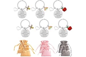HEYOMI Regali dell'insegnante 6 Pezzi Portachiavi Regalo Maestra fine Anno Grazie Maestre Idee Regalo per Insegnante Professoressa Regali di Laurea Regalo Maestra asilo Elementare Medie