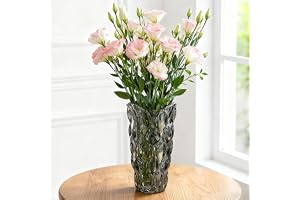 Glas Blomvas, 24 cm hög Modern Minimalistisk Glasvas Moderna Kristall Dekorativ Handgjord Blomsterarrangemang för Hemmakontor