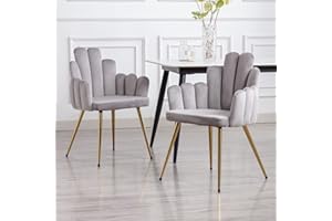 WAHSON OFFICE CHAIRS Wahson Krzesło do jadalni, zestaw 2 sztuk, aksamitne krzesło do jadalni, nowoczesne krzesło do salonu z podłokietnikiem i złotą stopą, krzesło kuchenne do restauracji i jadalni, szare