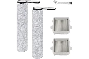 ‎DIANSUNG DianSung Bürstenrolle Zubehör für Roborock F25, F25 ACE, F25 RT, F25 LT, F25 ALT,F25 GT, F25 XT, F25 ACE Combo, F25 Combo Nass und Trockensauger Ersatzteile, 2 Bürstenrolle + 2 HEPA filter
