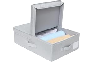 Amonsen AMX Cassonetti Pieghevoli per Guardaroba con Coperchio, Speciali per Organizer per spazi ristretti, Grigio Chiaro