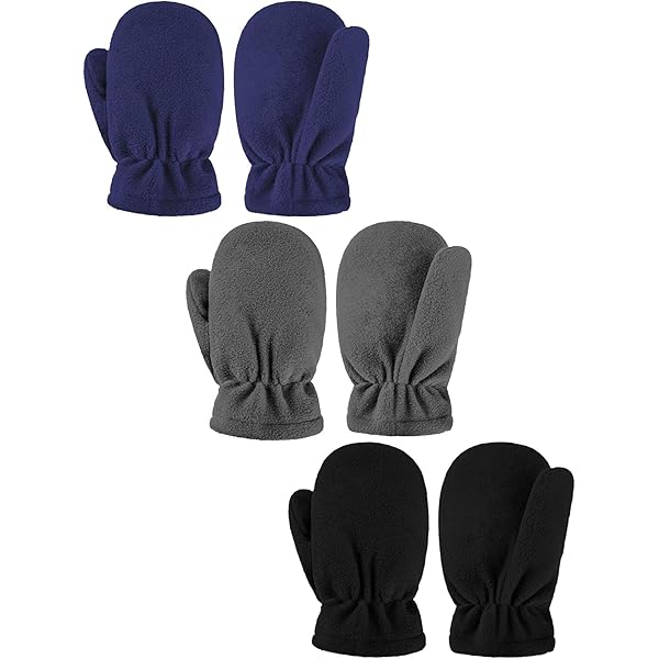 Programmes De L'enseignement Secondaire Identiques Pour Les Filles Et Les Garçons - France Mémoire