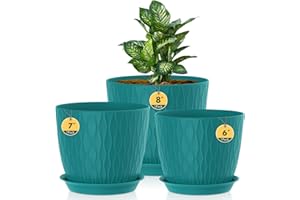 HOMEUOUZ 3 Pack Plastic Plant Pots,20/18/15CM,Flower Pot Large Plant Pots Indoor Outdoor Plastic Plant Pot with Drainage Holes and Tray for House Plant Flower(Dark Green)