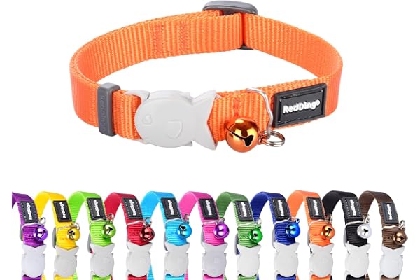 RED DINGO Collier pour Chat Orange 20-32 12 mm