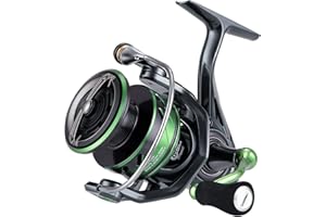 SeaKnight WR III Mulinello da Spinning 5.2: 1 Mulinelli da Pesca d'Acqua Dolce Pesca alla Carpa Sistema di trascinamento in Fibra di Carbonio 3000X 5.2:1 Max 17.6LB