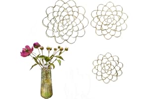 Ysnzaq 3 Pièces Réutilisables Arrangeurs Floraux en Métal Fleur Grenouille Vase Insert Couvercle Porte-Fleur Organisateur Rondes pour Arrangements Floraux 4/5/6 inch, Golden