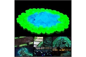 VOIV 300PCS Glow in The Dark Pebbles, Plantes de Jardin intérieures et extérieures Fish Tank Aquarium Rocks, Park Backyard Decoration
