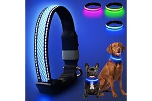 AOZOOM Light Up Dog Collar, Rechargeable & Adjustable LED Dog Collar for Night Walking, 3 Modes, 200m Visibility, Blue M