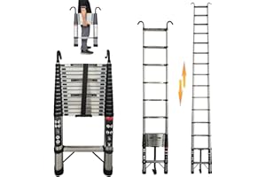 ROYALSWILL Échelle télescopique pliante de 5 m avec crochet amovible, multifonction, antidérapante, extensible, capacité de charge de 150 kg, pour le jardin et l'intérieur